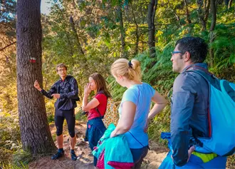 Disfruta de los parques y la naturaleza