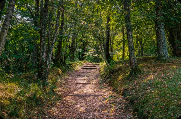 Parque Ametzagaina