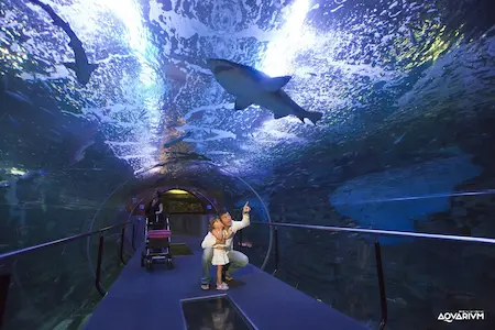 Actividades en familia en el Aquarium