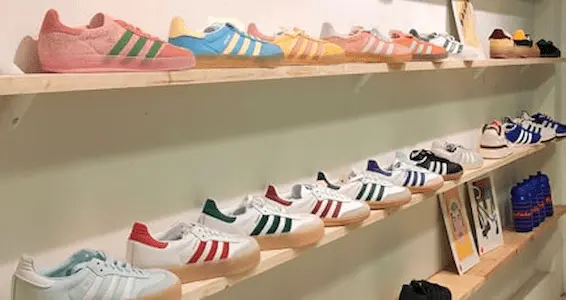 Estanterías de madera con zapatillas de deporte