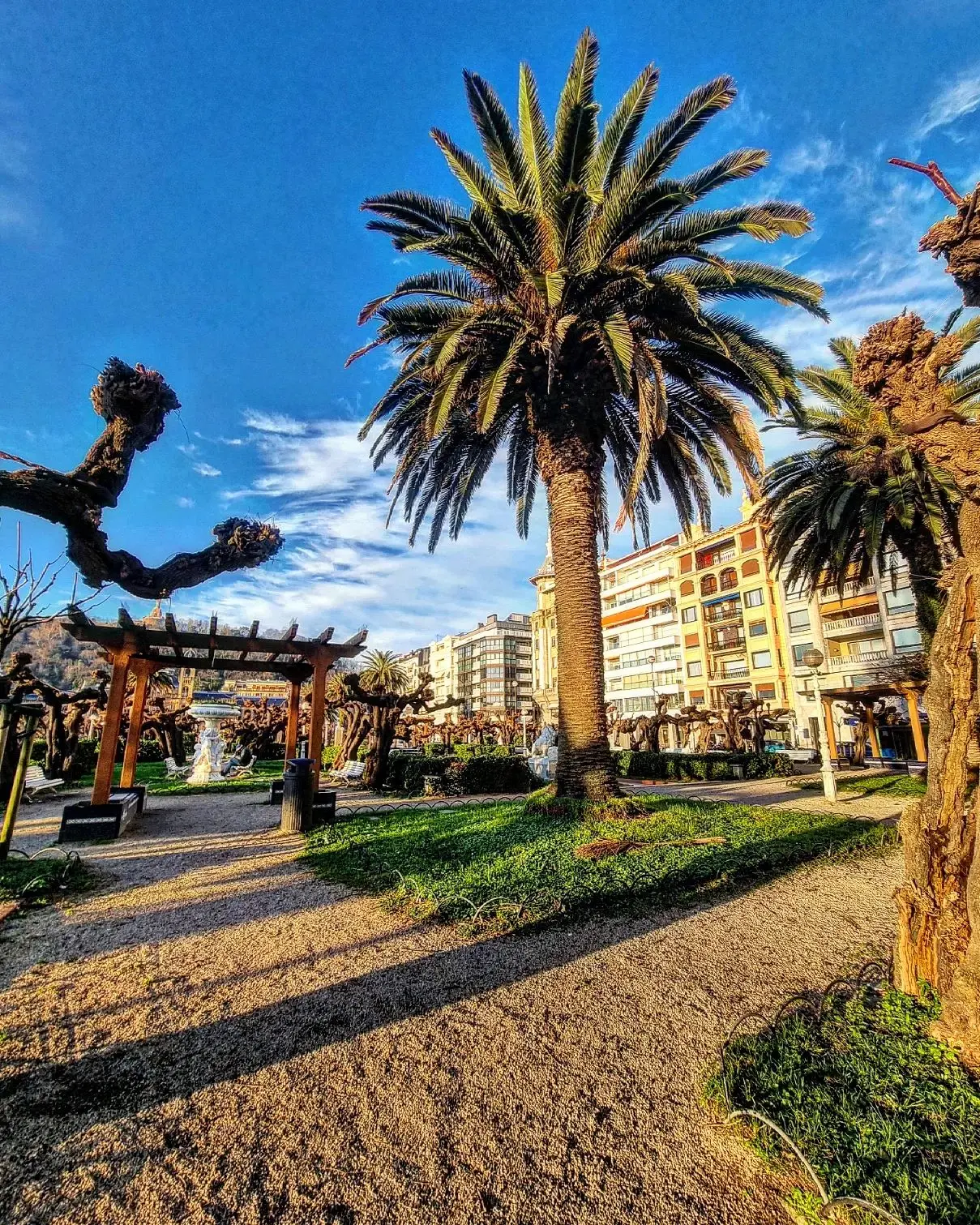 Vista desde el centro de los jardines de Alderdi Eder con su gran palmeral