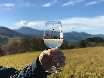 Mano sujetando una copa de txakoli, con un hermoso paisaje de fondo.