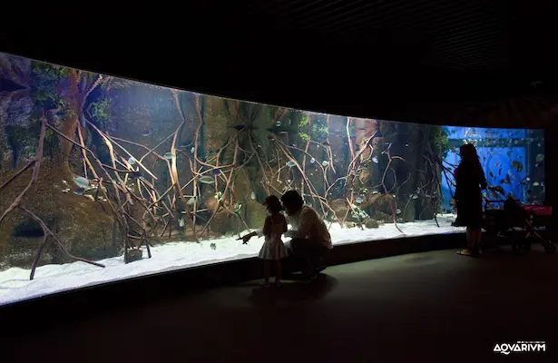 Una familia observa maravillada la vida marina en el Aquarium de San Sebastián