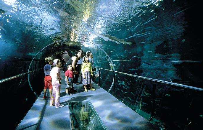 AQUARIUM DONOSTIA-SAN SEBASTIÁN