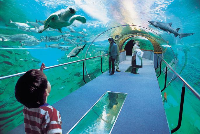 AQUARIUM DONOSTIA-SAN SEBASTIÁN