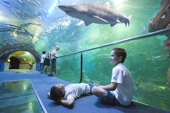 AQUARIUM DONOSTIA-SAN SEBASTIÁN