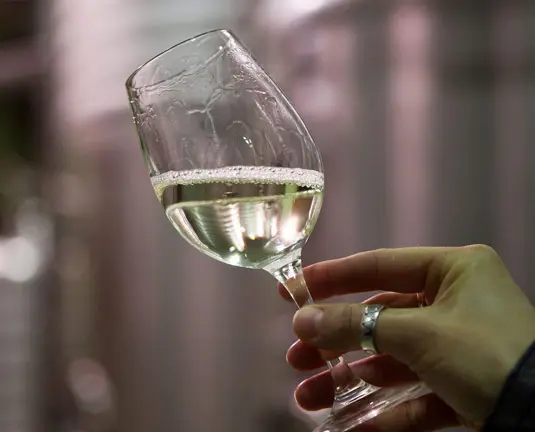 Degustación de txakolis: elige el perfecto para esta Navidad