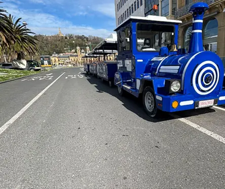Tren turístico