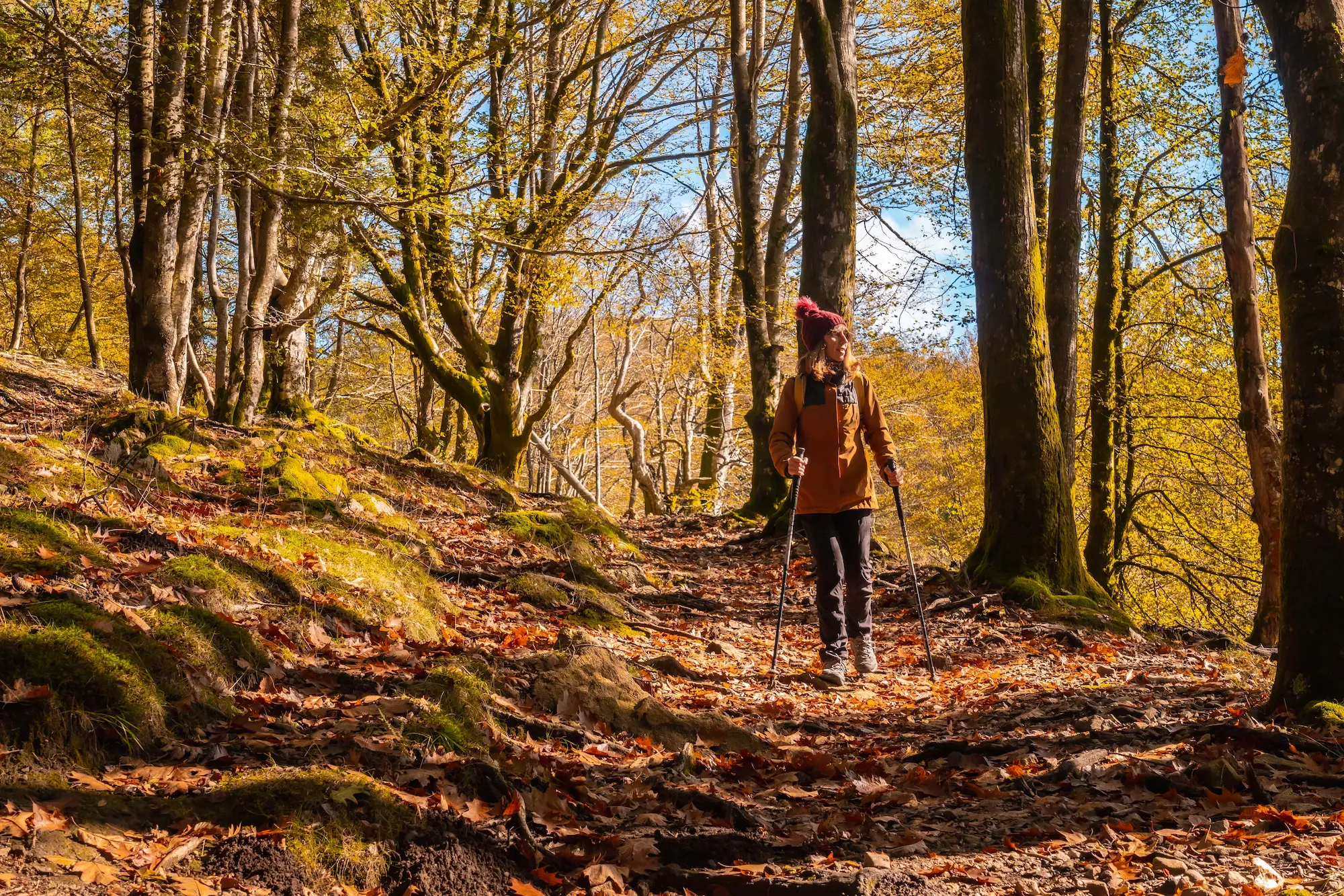 Un joven excursionista visitando el parque natural de Artikutza al atardecer de otoño 