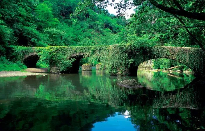 Puente de piedra antiguo cubierto de vegetación sobre el río Leitzaran, en un entorno boscoso verde y frondoso.