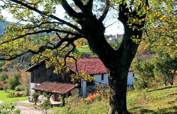 Caserío tradicional vasco con tejado rojo y fachada blanca, rodeado de árboles y vegetación otoñal en el Parque Natural de Pagoeta.