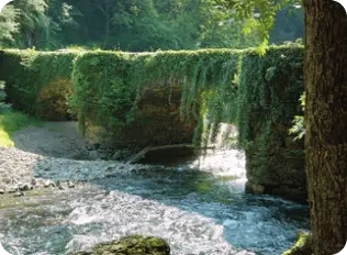 Río Leitzaran entre vegetación