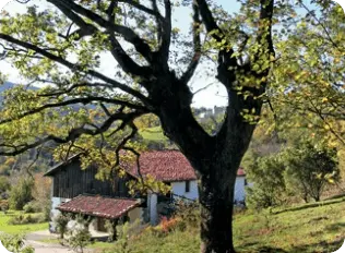 Vista de Pagoeta con un caserío al fondo
