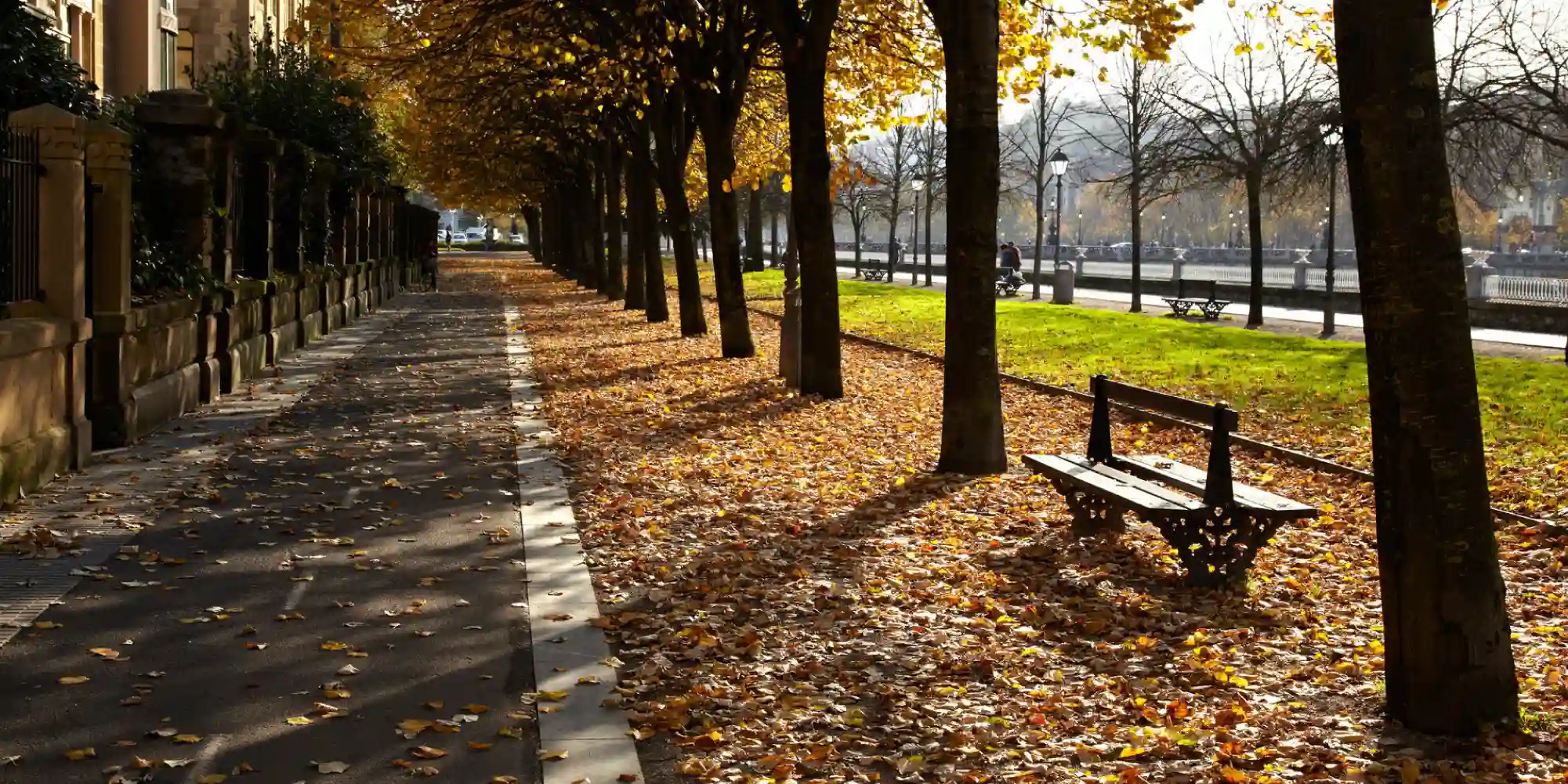 Un sendero arbolado cubierto de hojas caídas en tonos dorados y ocres, con bancos de parque y un río o paseo marítimo al fondo bajo la luz del sol de otoño.