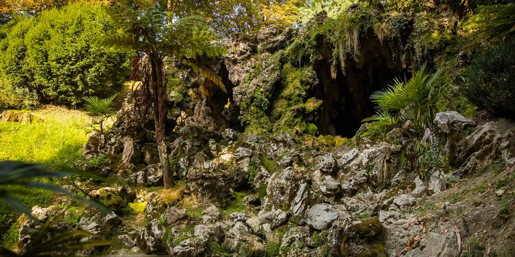 Una entrada de cueva rocosa y cubierta de musgo y vegetación densa, con árboles y luz solar en la parte superior.