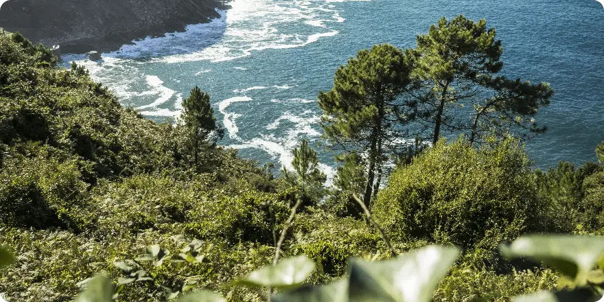 Vista desde monte Ulia