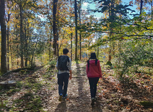 15 Special activities for autumn